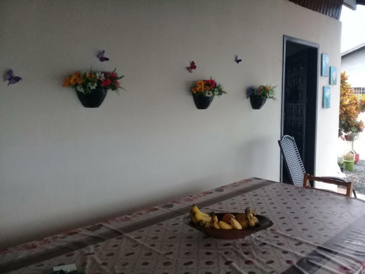 Hostel Cidade Das Flores 2 Joinville Bagian luar foto